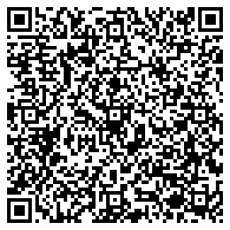 QR-код с контактной информацией организации Metro. Казань