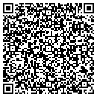 QR-код с контактной информацией организации Metro. Казань