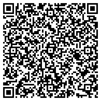 QR-код с контактной информацией организации Metro. Казань