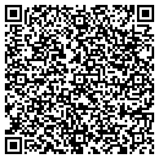 QR-код с контактной информацией организации Киоск фастфудной продукции