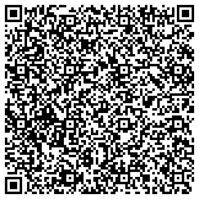 QR-код с контактной информацией организации Небо Сантьяго