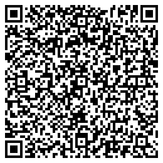 QR-код с контактной информацией организации Нэцкэ, ресторан