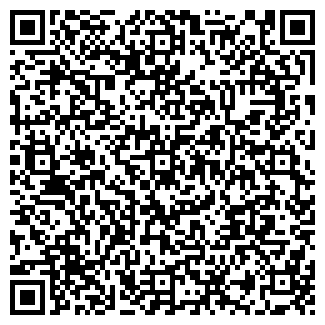 QR-код с контактной информацией организации ИП Дмитриев А.А.