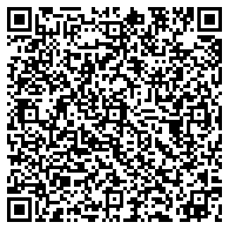 QR-код с контактной информацией организации Ibiza