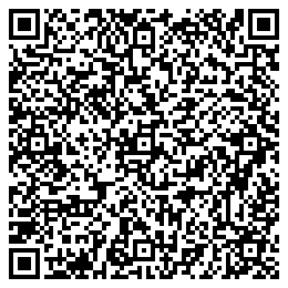 QR-код с контактной информацией организации Велнесс Бьюти