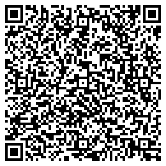 QR-код с контактной информацией организации Чайка