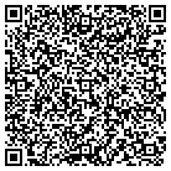 QR-код с контактной информацией организации 33 пингвина