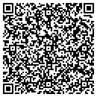 QR-код с контактной информацией организации Салют, продуктовый магазин