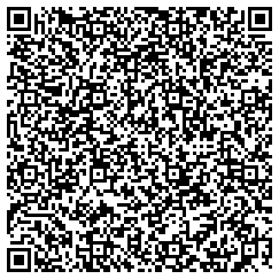 QR-код с контактной информацией организации Близнецы, ООО, транспортная компания, Центральный офис