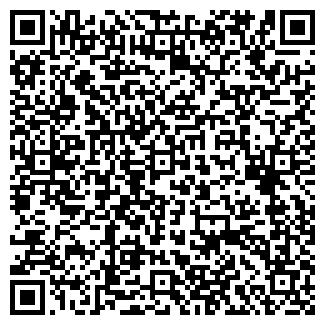 QR-код с контактной информацией организации Визит, магазин продуктов