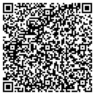 QR-код с контактной информацией организации Продуктовый магазин, ООО Блиц