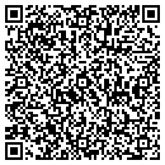 QR-код с контактной информацией организации Жара