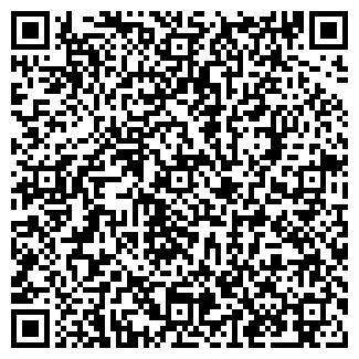 QR-код с контактной информацией организации Рица, ООО, продуктовый магазин