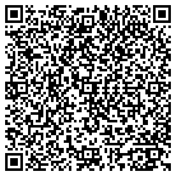 QR-код с контактной информацией организации Продуктовый магазин, ИП Ногиева Ф.И.