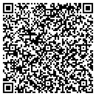 QR-код с контактной информацией организации Продуктовый магазин, ООО Пико