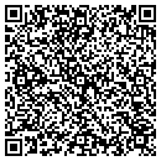 QR-код с контактной информацией организации ООО Снежинка