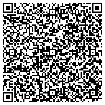 QR-код с контактной информацией организации Панавто Ко, салон-магазин, филиал в г. Казани