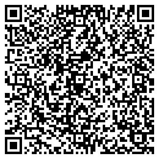 QR-код с контактной информацией организации Драйв