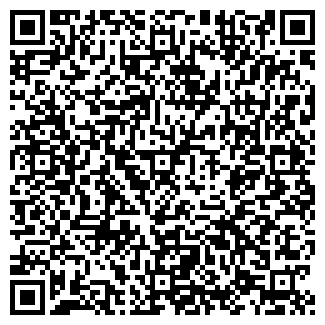 QR-код с контактной информацией организации Chippolino