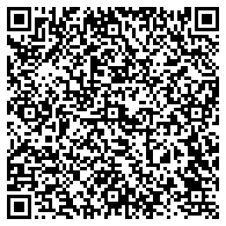 QR-код с контактной информацией организации Звездное