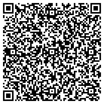 QR-код с контактной информацией организации ИП Набиев С.Ю.