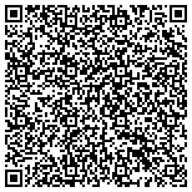 QR-код с контактной информацией организации БДО, ЗАО, аудиторская фирма, представительство в г. Челябинске