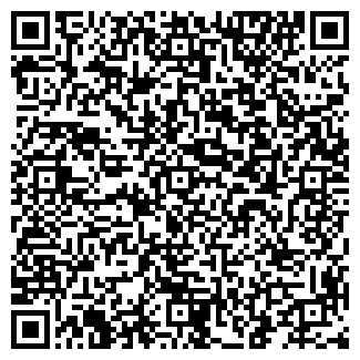 QR-код с контактной информацией организации Смирновская галерея