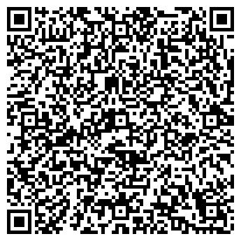 QR-код с контактной информацией организации ООО Мир Колёс