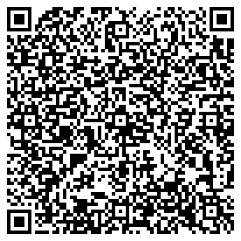 QR-код с контактной информацией организации Моментальное фото