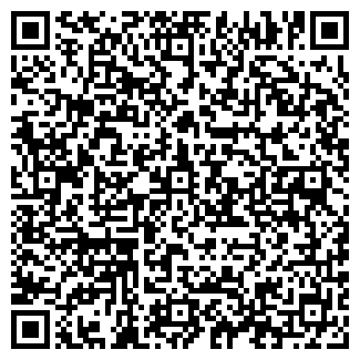QR-код с контактной информацией организации ООО Абсолют-Бизнес НК