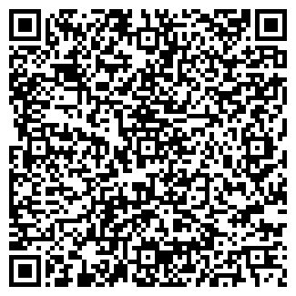 QR-код с контактной информацией организации Забияки