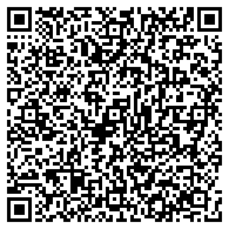 QR-код с контактной информацией организации Астория, русская баня