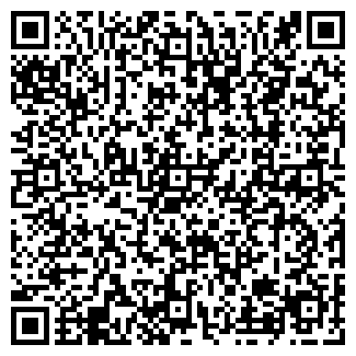 QR-код с контактной информацией организации ООО Золотые слоны