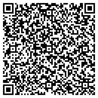 QR-код с контактной информацией организации Ночной город