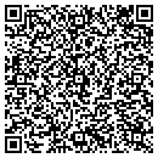 QR-код с контактной информацией организации Киоск фастфудной продукции