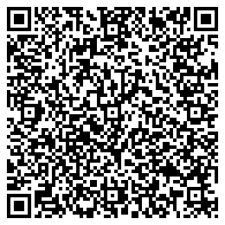 QR-код с контактной информацией организации Ледяной дом, киоск