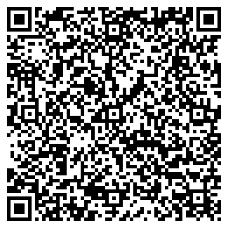 QR-код с контактной информацией организации Ледяной дом, киоск