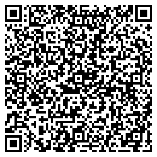 QR-код с контактной информацией организации Ледяной дом, киоск