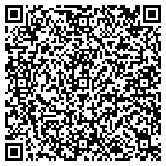 QR-код с контактной информацией организации Ледяной дом, киоск