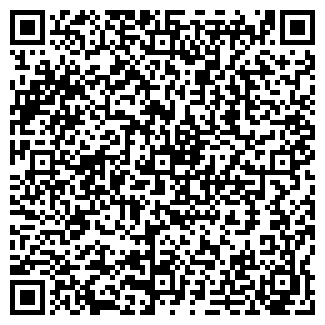 QR-код с контактной информацией организации Ледяной дом, киоск