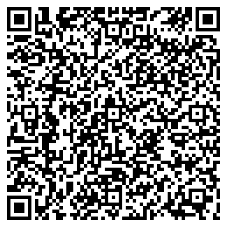 QR-код с контактной информацией организации Дворик, продуктовый магазин