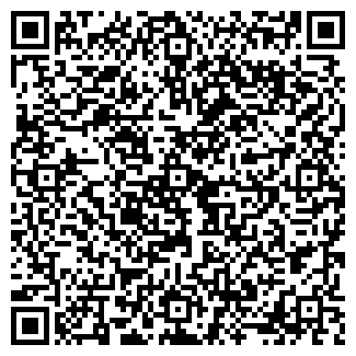 QR-код с контактной информацией организации Теремок, магазин продуктов