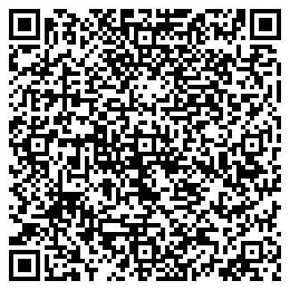 QR-код с контактной информацией организации Portal-N1.com