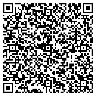 QR-код с контактной информацией организации ИП Мамедов А.М.