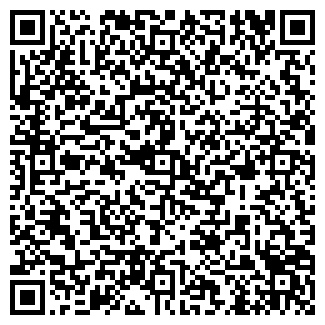 QR-код с контактной информацией организации ИП Бородин Р.М.