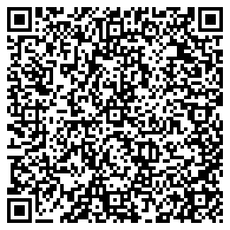 QR-код с контактной информацией организации ИП Агентство зарубежной недвижимости