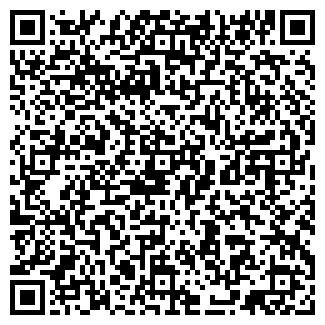 QR-код с контактной информацией организации ИП Попыгина Л.В.