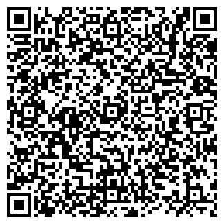 QR-код с контактной информацией организации ЛАСТОЧКА, ЧП