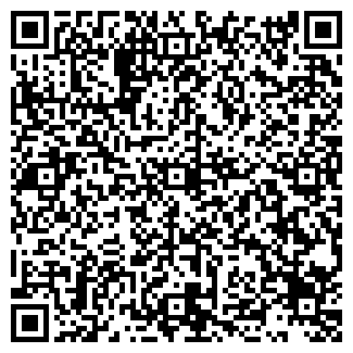QR-код с контактной информацией организации Bigzur