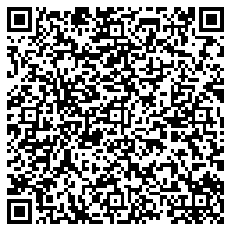 QR-код с контактной информацией организации Детский сад №132